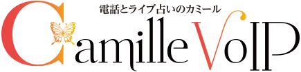 晴明(せいめい)先生プロフィール